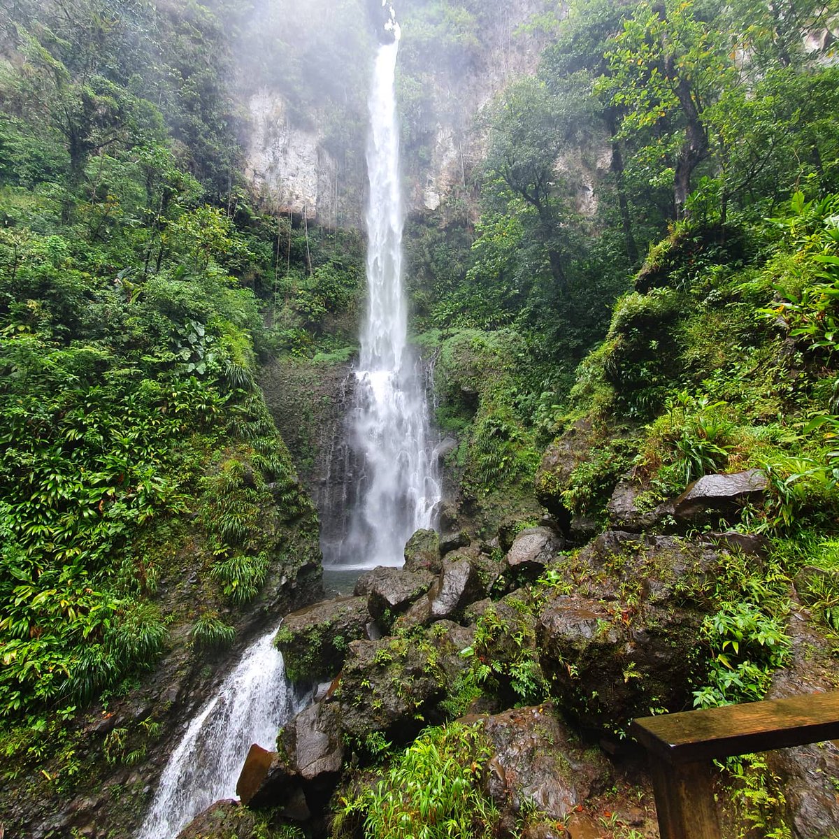 gabxcaroline's tweet photo. Middleham Falls Dominica https://t.co/slrQdS6o70