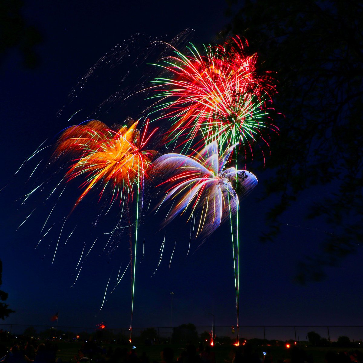 DrinkTeaIndia's tweet photo. Happy Fourth of July! Our roots are in India, but we branched out across the world and landed in the US forty years ago. We're honored and proud to have been here ever since. Happy Birthday, America! #HappyFourthofJuly #IndependenceDay #BornInMadeIn https://t.co/q8Nm6Glfih