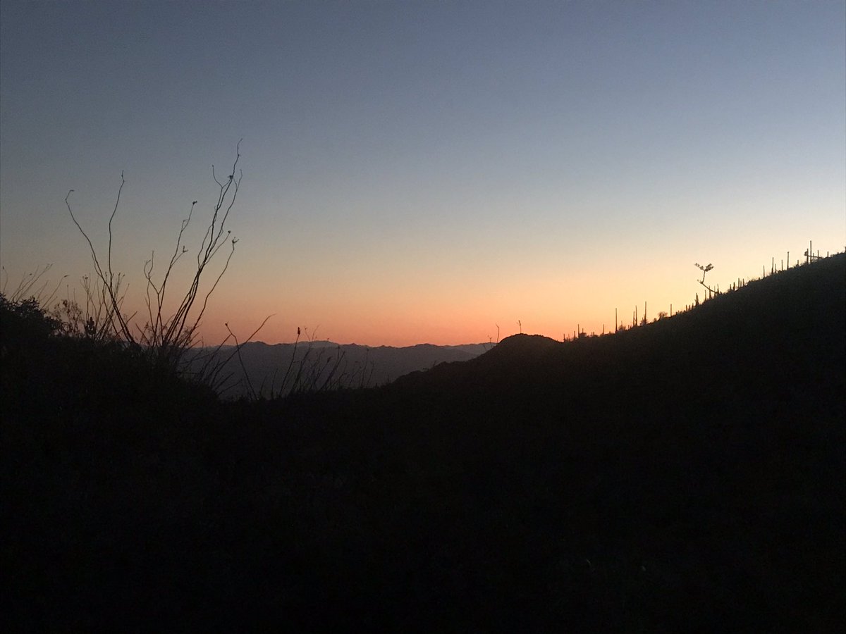 The Sonoran Dessert ❤️ #NightHike #FullMoon #Saguaros #Sunset