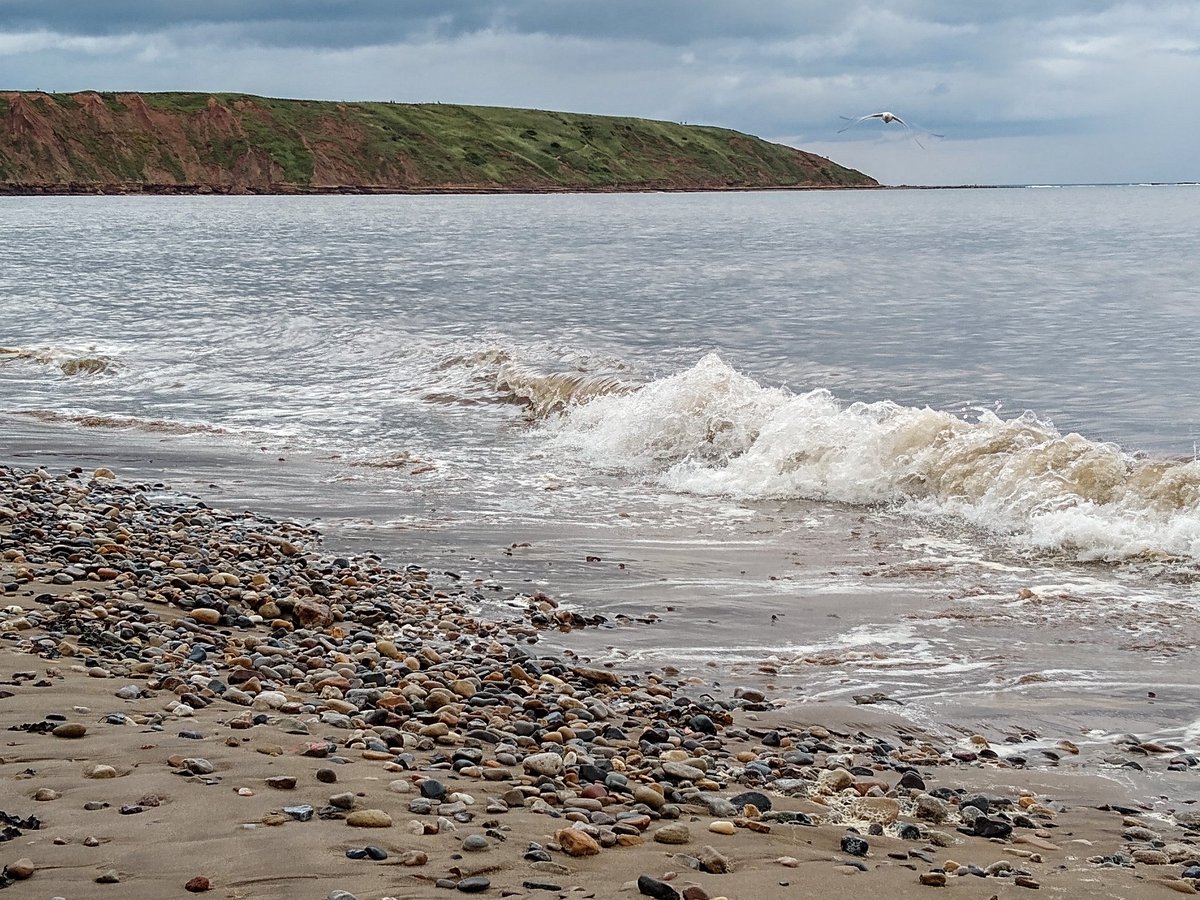 FileyFlat1's tweet image. Wonderful to be back in #Filey @5leysfiley