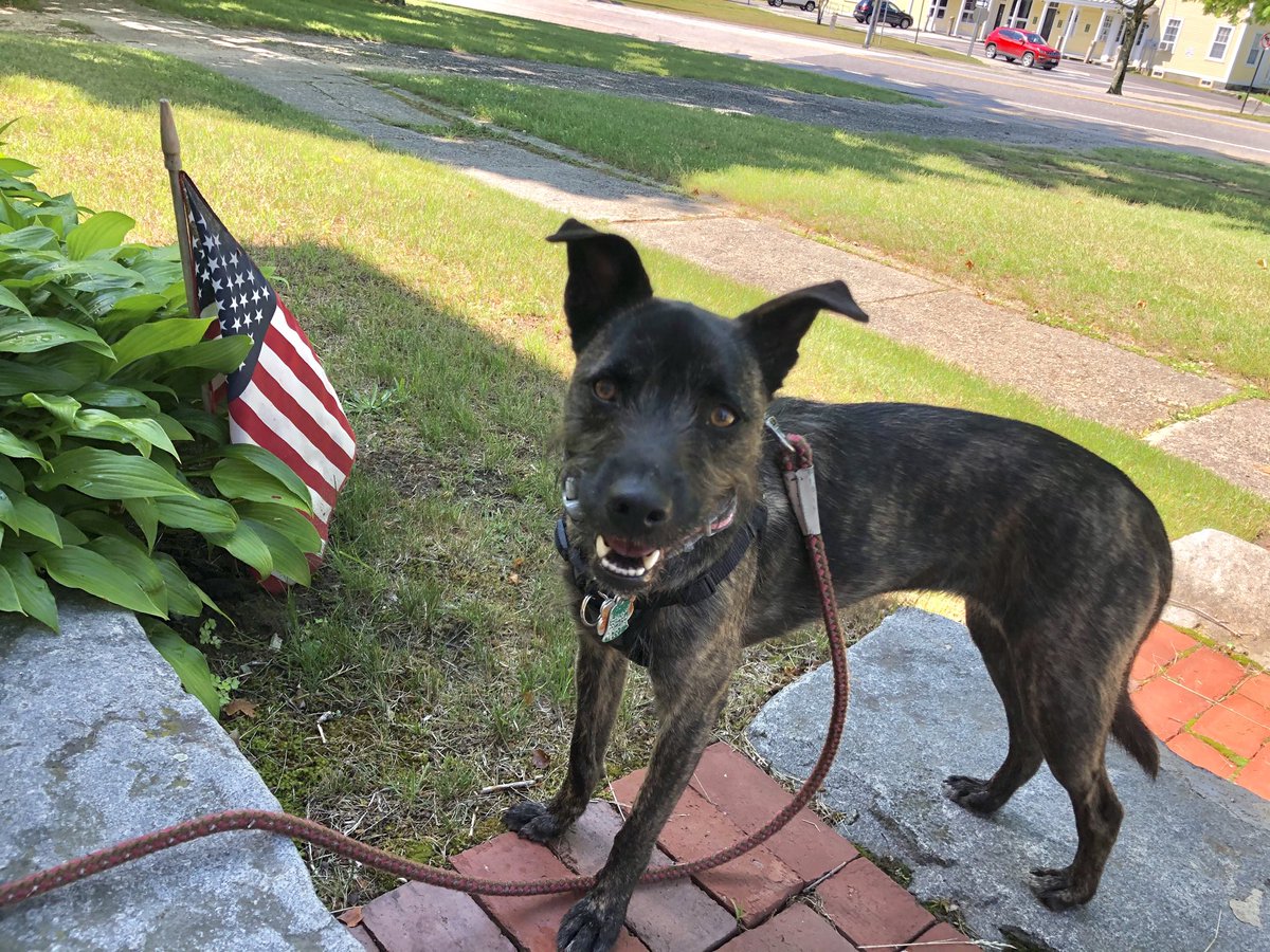 Happy Fourth of July!