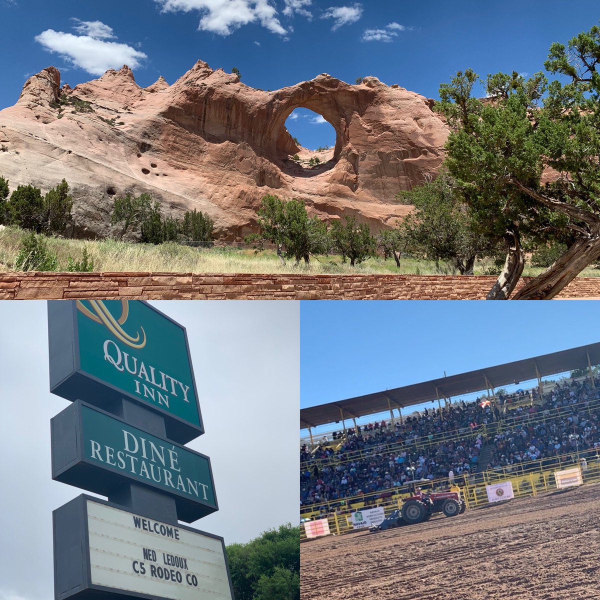 cc_cardinal's tweet photo. Happy 4th of July! This time last year we were in Window Rock, AZ. Hope to be back one day again. This Canadian gal couldnβt find a cooler but you can buy ice chests ! Now can someone pls send me sweet tea ? #iloveheat #c5rodeo https://t.co/nnmvBSIDeh