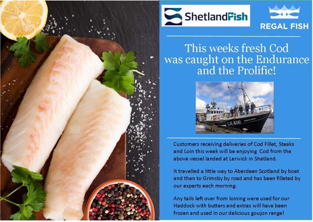 Regal Fish tweet media