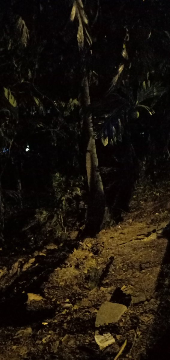 MarthaPraja's tweet photo. Gelap kaya masa depan bumn yang salah ngurusnya
#BUMNSalahUrus https://t.co/h0U9lNz6mM