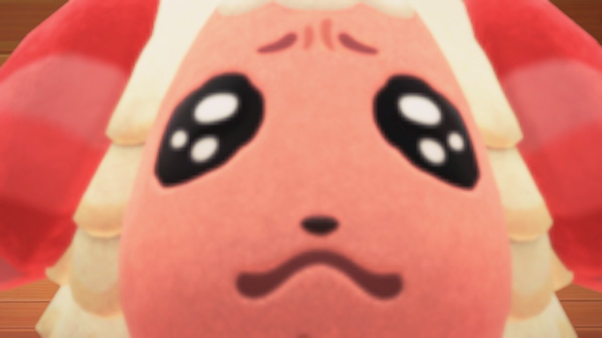 chachamarusksk's tweet photo. 最近ちゃちゃまるの動画よく流れてくるんだけど
「一番大きく顔を撮ったらどれくらいかな？」
と思って検証した結果がこれ。
 #どうぶつの森 #AnimalCrossing #ACNH #NintendoSwitch #あつ森 #あつ森写真部 #ちゃちゃまる https://t.co/tHC9fNmFFW