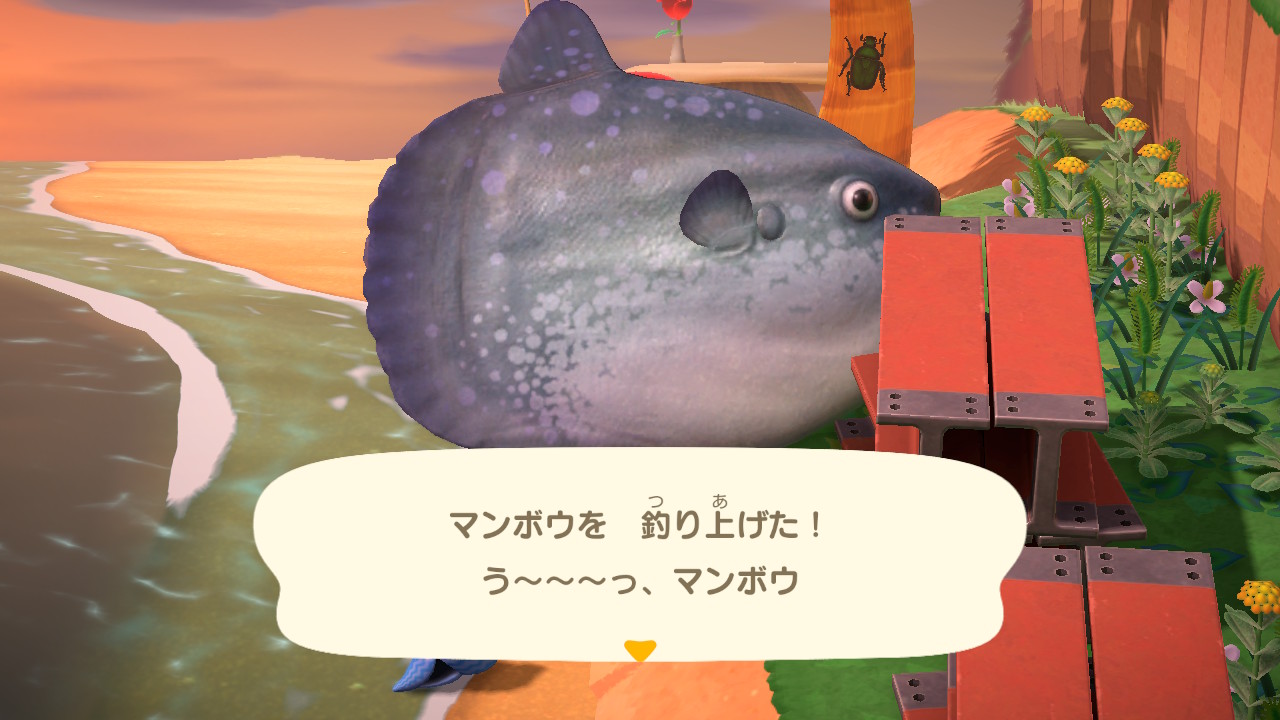 永薫 マンボウが気持ち悪いマンボウが気持ち悪いリアルでも気持ち悪い小学生の遠足で江ノ島水族館で飾られていたマンボウ がトラウマなんだけど それと同じ状態で飾られるマンボウが気持ち悪いんだよう どうぶつの森 Animalcrossing Nintendoswitch