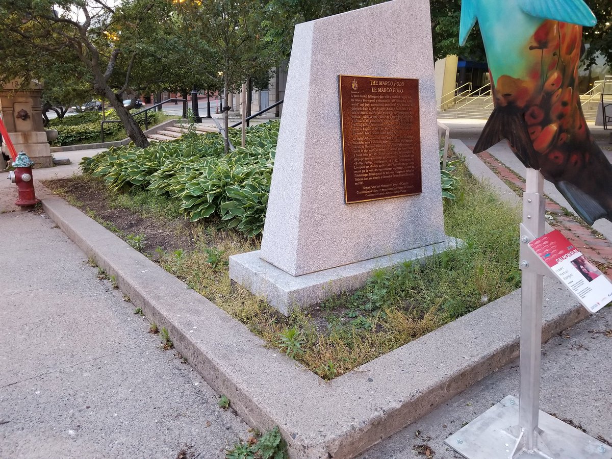 Why aren't the gardens being weeded in @uptownsaintjohn and on #harbourpassage #redpath?  (Not being one of those twitter 'complain about everything' people, I am legit asking why)