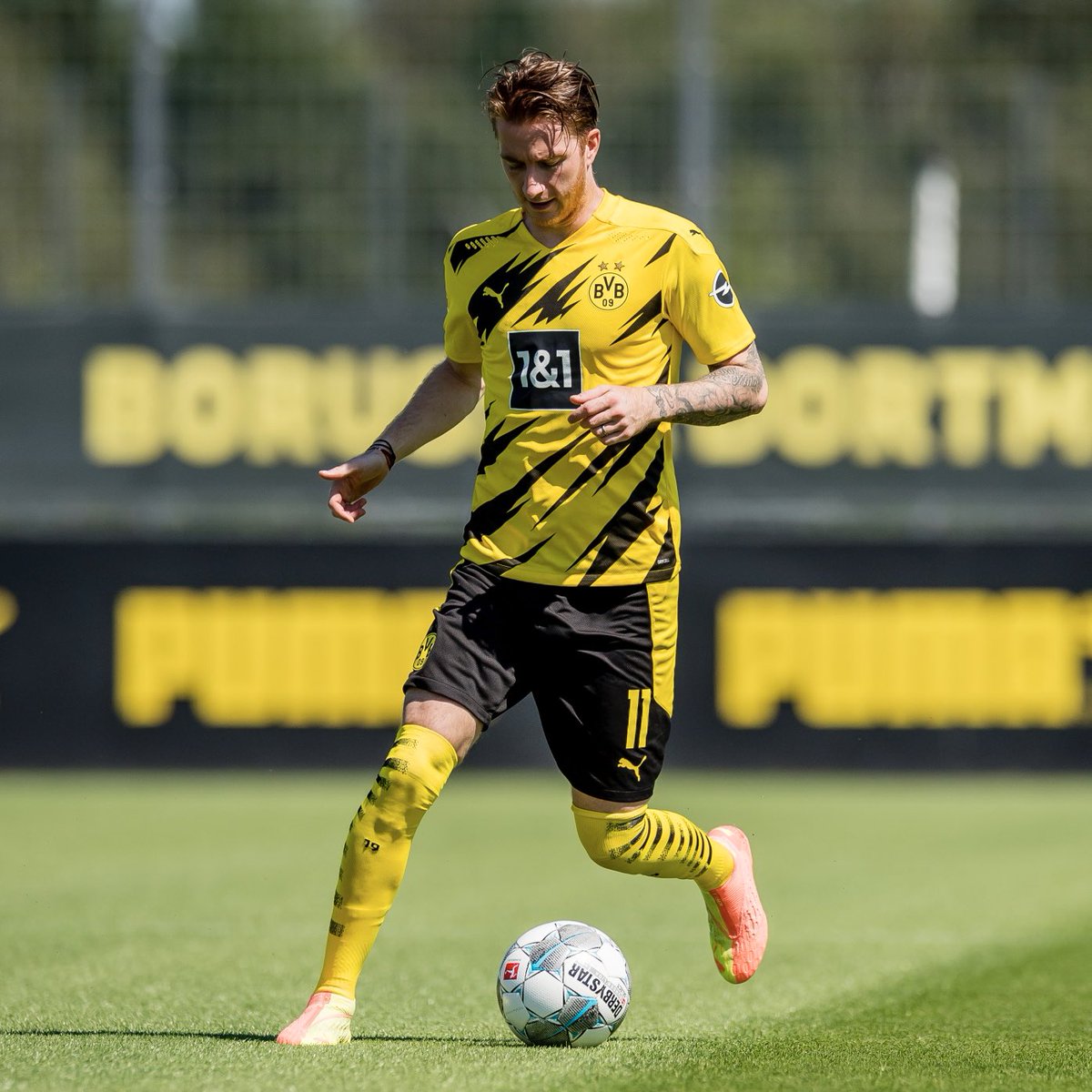 BlackYellow's tweet photo. More Marco ⚡️🔥 https://t.co/qFl6fGGBTP