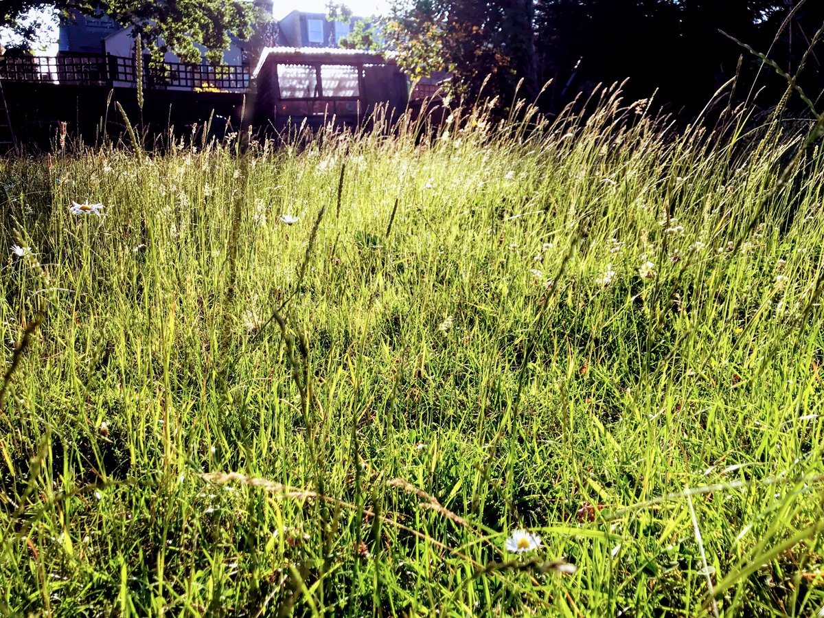 Andrew Davidson tweet media