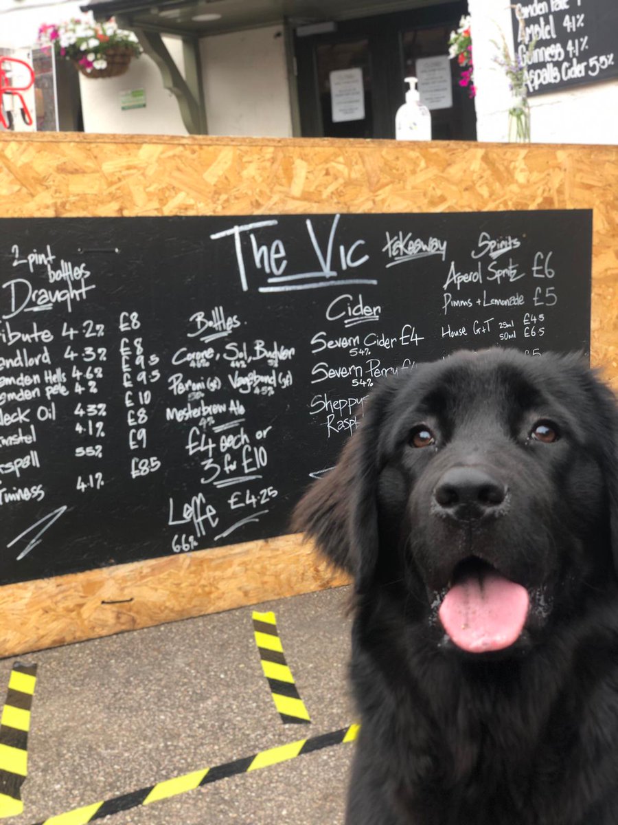 bracken_uk's tweet photo. Today, we mostly took the Freja the #covidpuppy to the pub* for the first time in her life. How do you think a 6-month old Newfoundland fared? She does like beer, but not as much as she likes pork scratchings and scritches.
*@HitchinVic selling beer to take away.#firstinqueue https://t.co/ETwuNKwfwO