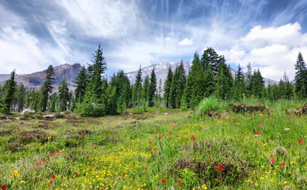 and privations in their inexplicable urge to approach and to worship the sacred spot. Nobody has conferred the title of sacredness upon such a mountain; by virtue of its own magnetic and psychic emanations the mountain is intuitively recognized to be sacred.