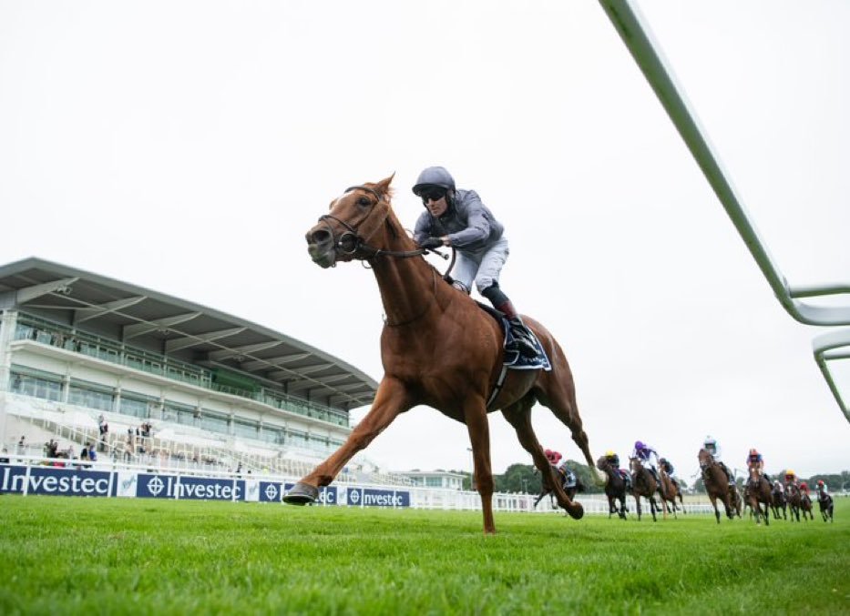 aobrienfansite's tweet image. 