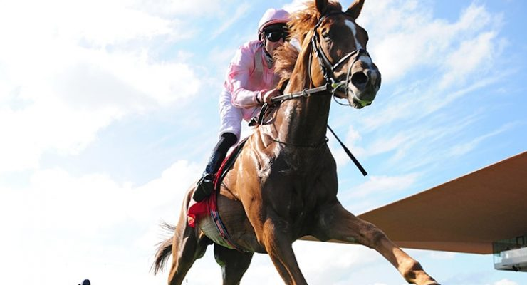 aobrienfansite's tweet image. 