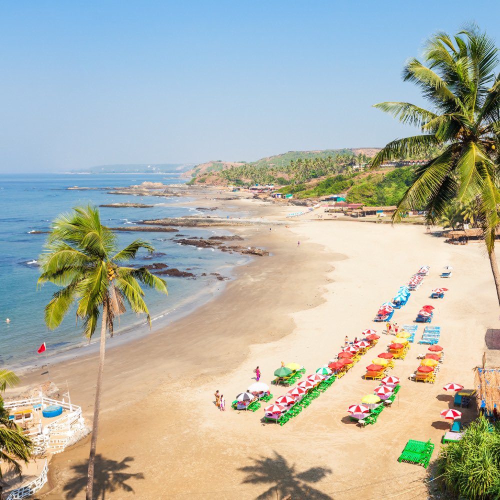MiceFcm's tweet photo. Goa is open now!
Meetings and conferences amidst the beaches are now a reality. 250 hotels granted permissions to operate.
Contact : mustseeindia@in.fcm.travel
#fcmmice #incentivetravel #meetings #goa #conferences #domestictourism #mustseeindia https://t.co/BT3uHCw5mK