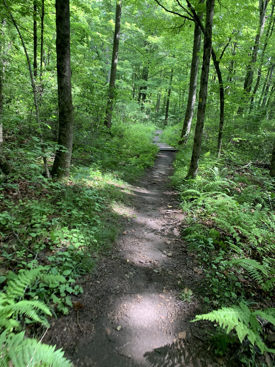 jennanicole126's tweet photo. 🇺🇸🏃🏼‍♀️❤️ #RADrabbit #nuunlife #stingorbeestung https://t.co/YJUiwBKWil