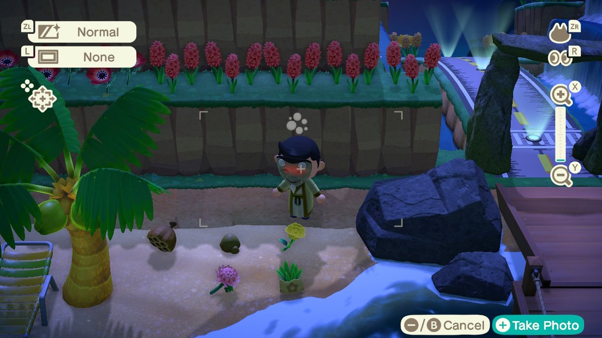 HalimAnthony's tweet photo. #AnimalCrossing #ACNH #NintendoSwitch https://t.co/gRYSkqClbu