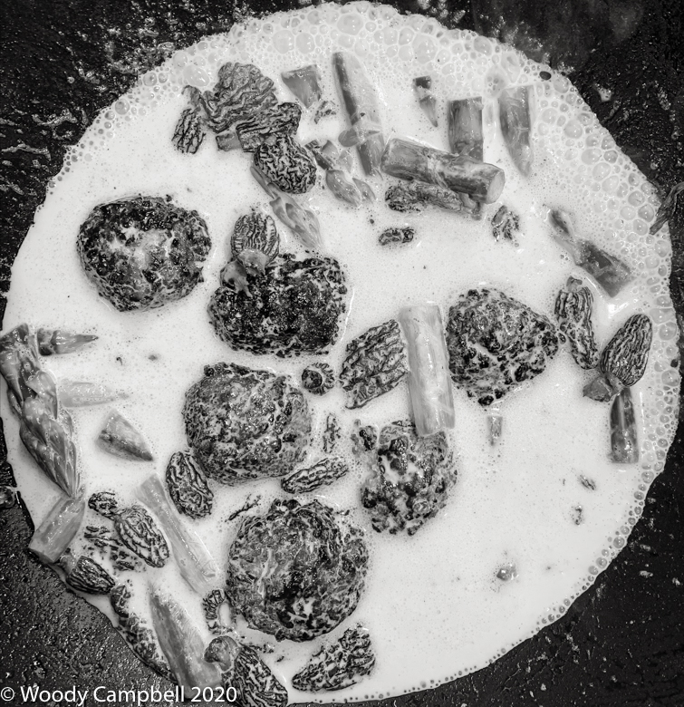 Woody_Campbell's tweet photo. Now. Morrells, asparagus and heavy cream. Day 3883 (a palindrome) of 1 photo every day for the rest of my life.
#BlackAndWhite #BNW #Photo #Monochrome #DailyPhoto
#SonyA7Riv
#food #morrells
#LiitchfieldCounty #CT https://t.co/DzvwttcVLg
