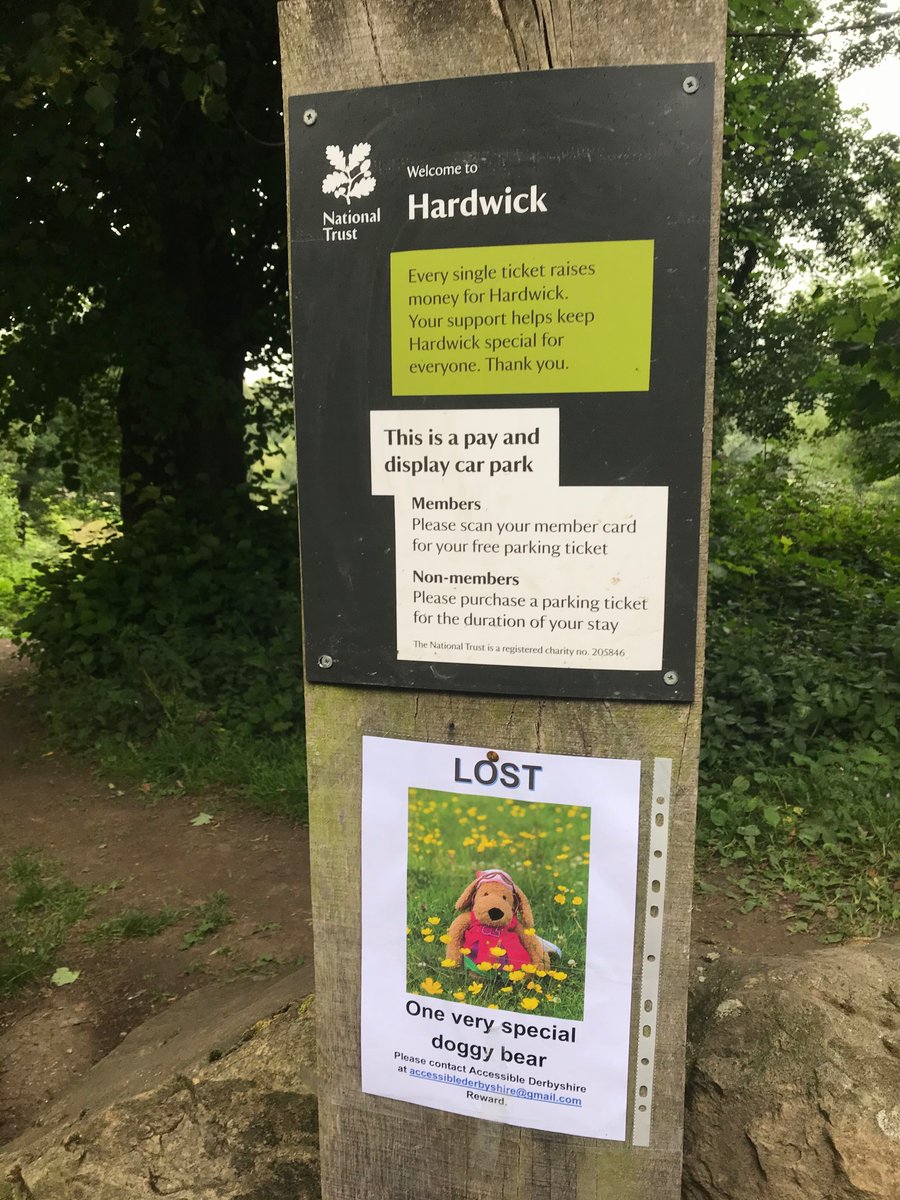 LOST.......REWARD IF FOUND💕 One very special doggy bear gone missing @NThardwick country estate in field near Hardwick Inn. Email accessiblederbyshire@gmail.com @hjls73
