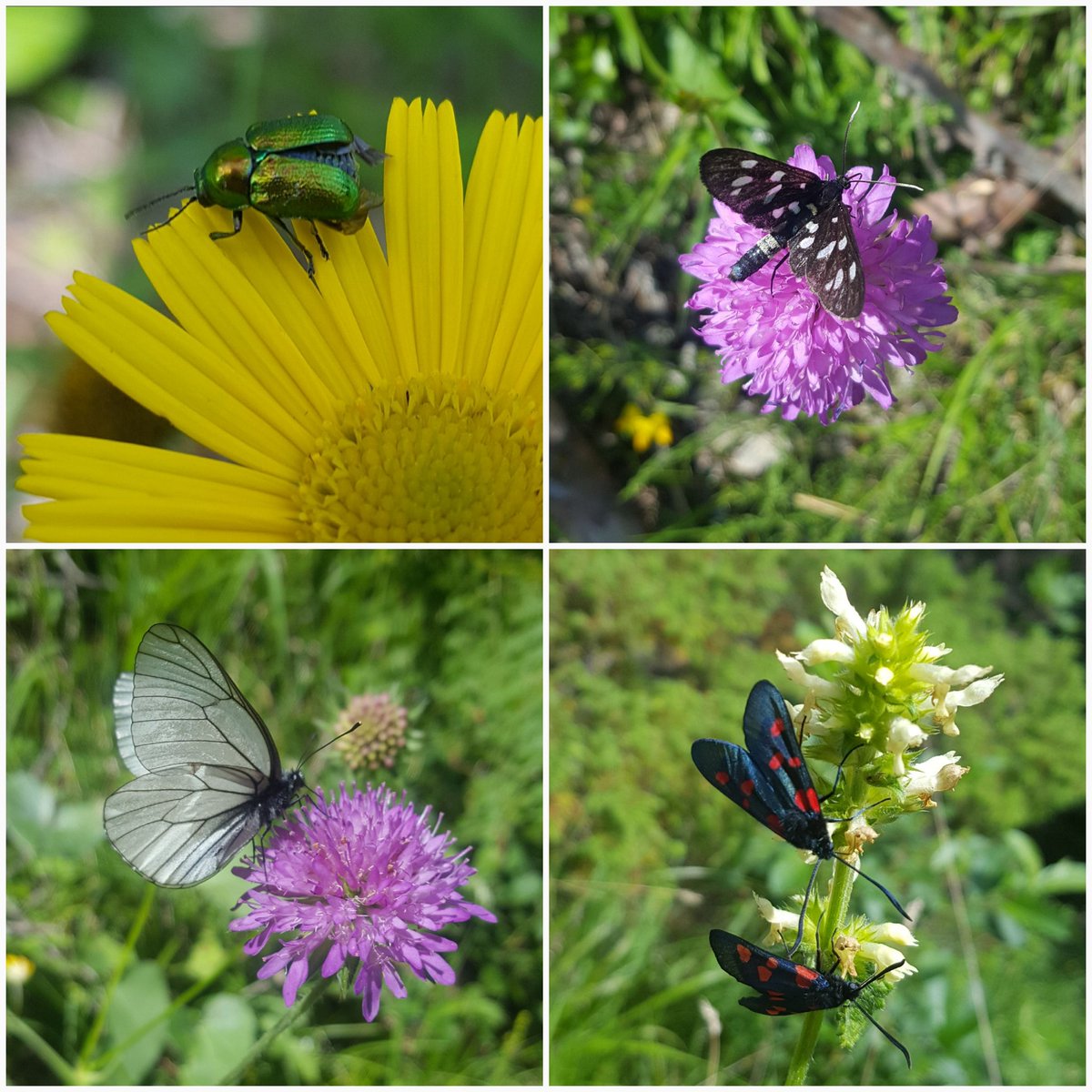 OverVisibility's tweet image. Gli incontri di oggi.