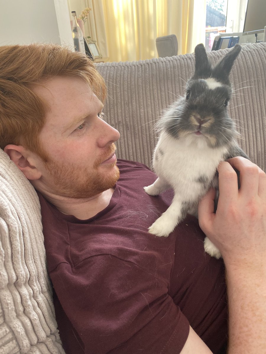 HannahMay1309's tweet photo. And the winner for the best pout goes to..... 🐰 #rabbitsoftwitter #poutchallenge https://t.co/UDsuvG6FbG