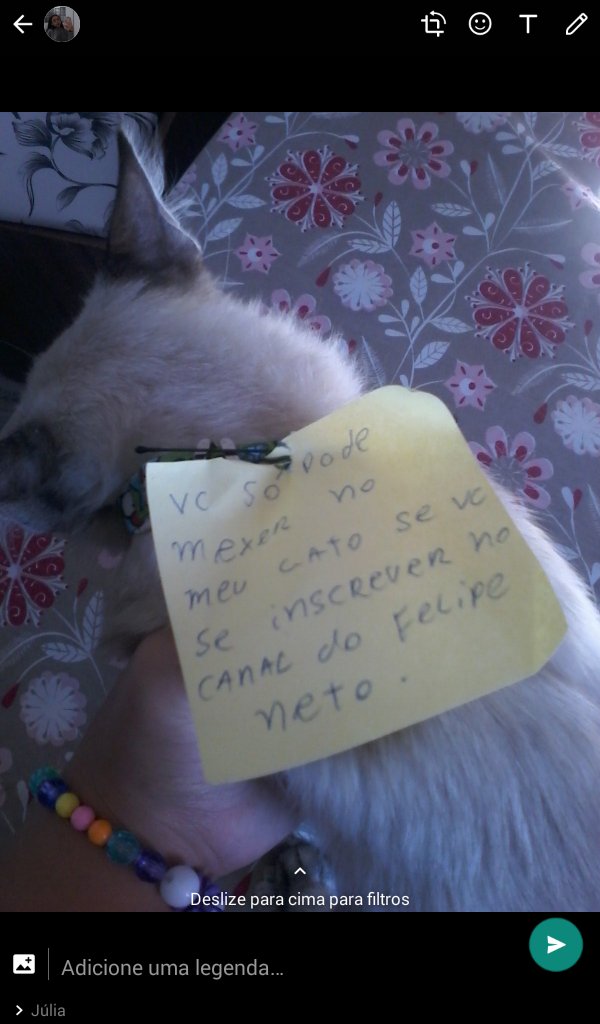 yasmin_robo's tweet photo. #convertendohaters arrumei  kkkkkk , gente ta na coleira dele tá https://t.co/cNr7Gx9Ln4
