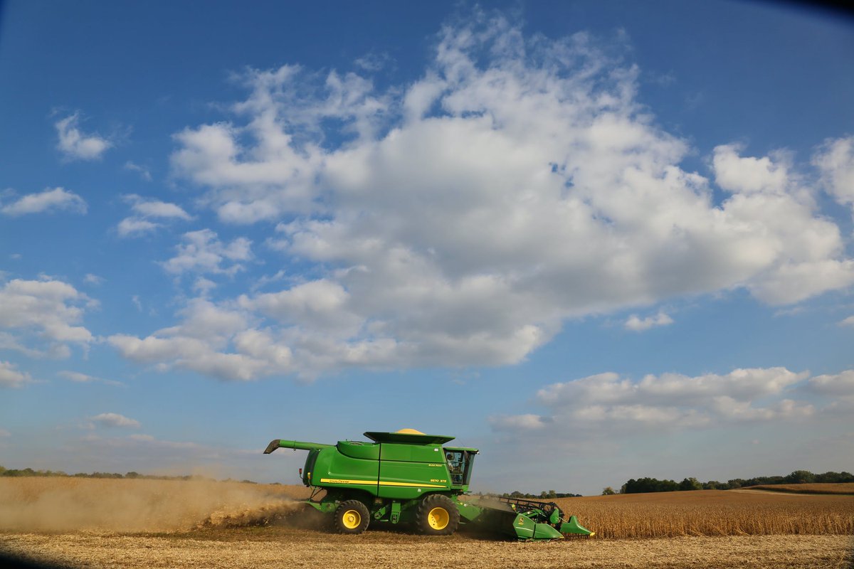 4HOntario's tweet photo. If you could only post one picture of agriculture from your farm or your connection with agriculture, what would that picture feature? Tell us in the comments below β¬οΈ#YouthInAg #Farm #FarmingConnection #RealDirtOnFarming #4HProject https://t.co/wUkSMkiibn