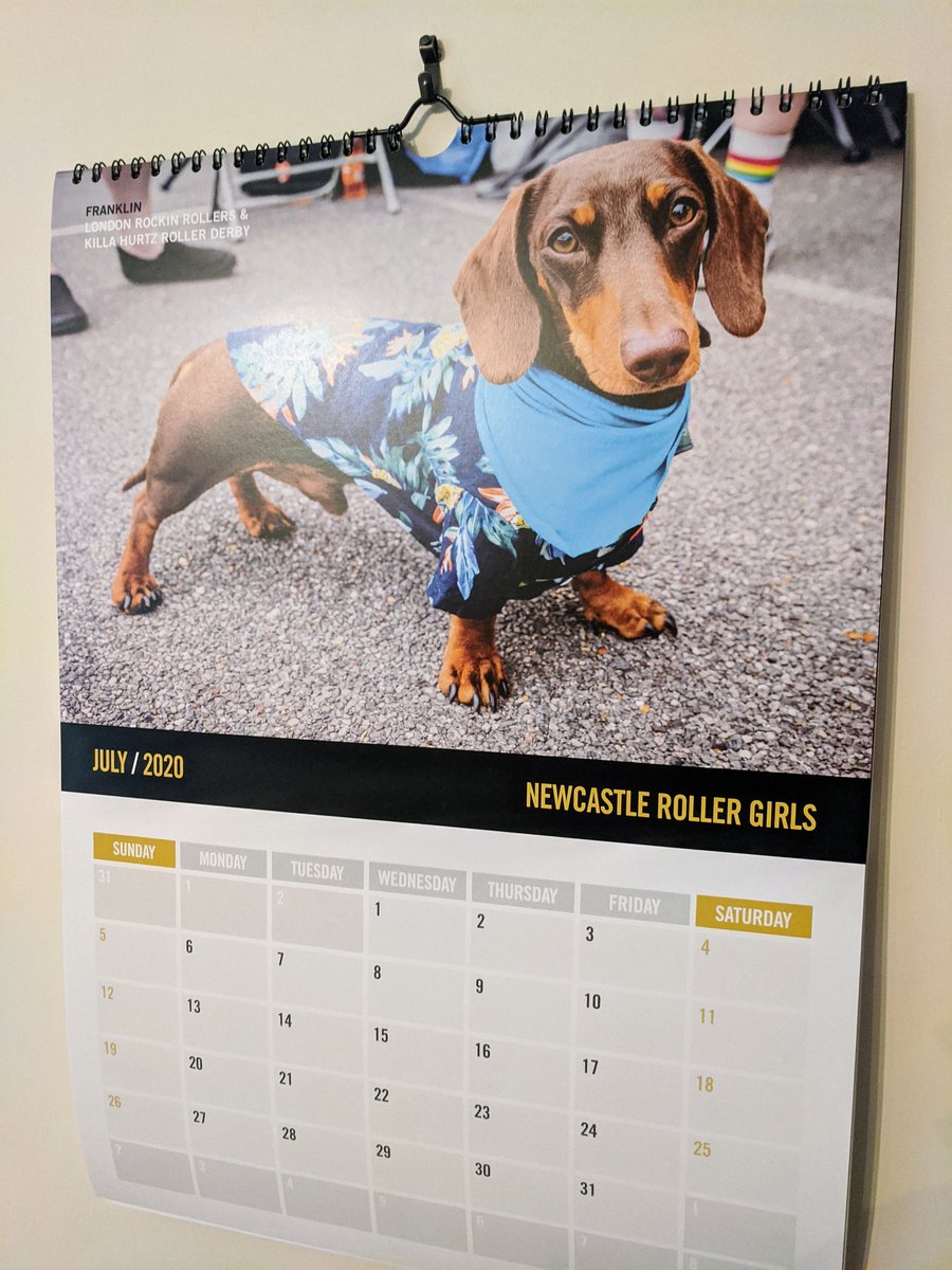 hellfuss's tweet image. 2020 might be cancelled but I'm still very much enjoying my @nclrollerderby dog calendar 😍 #DerbyTwitter #RollerDerby #DogsofDerby #DogsofTwitter
