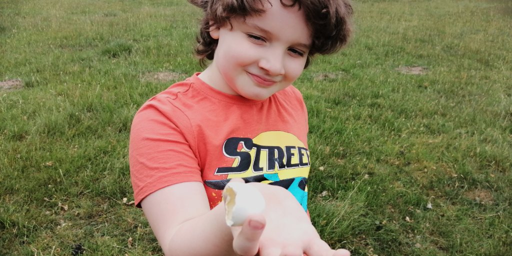 Found anything interesting on your walks? Today we found an egg, shells and got close up with the deer #getoutdoors @BeltonHouseNT #exploring