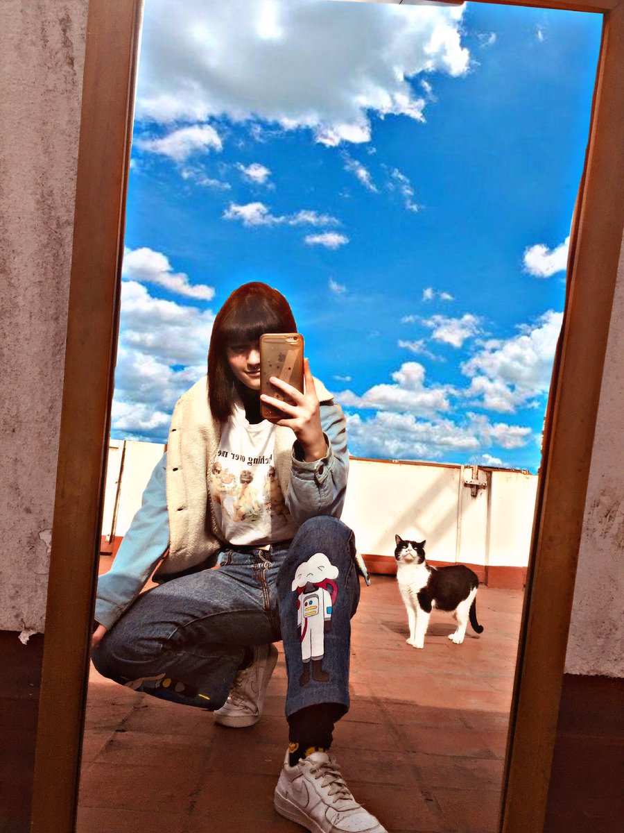 Delfi;🦦 tweet media