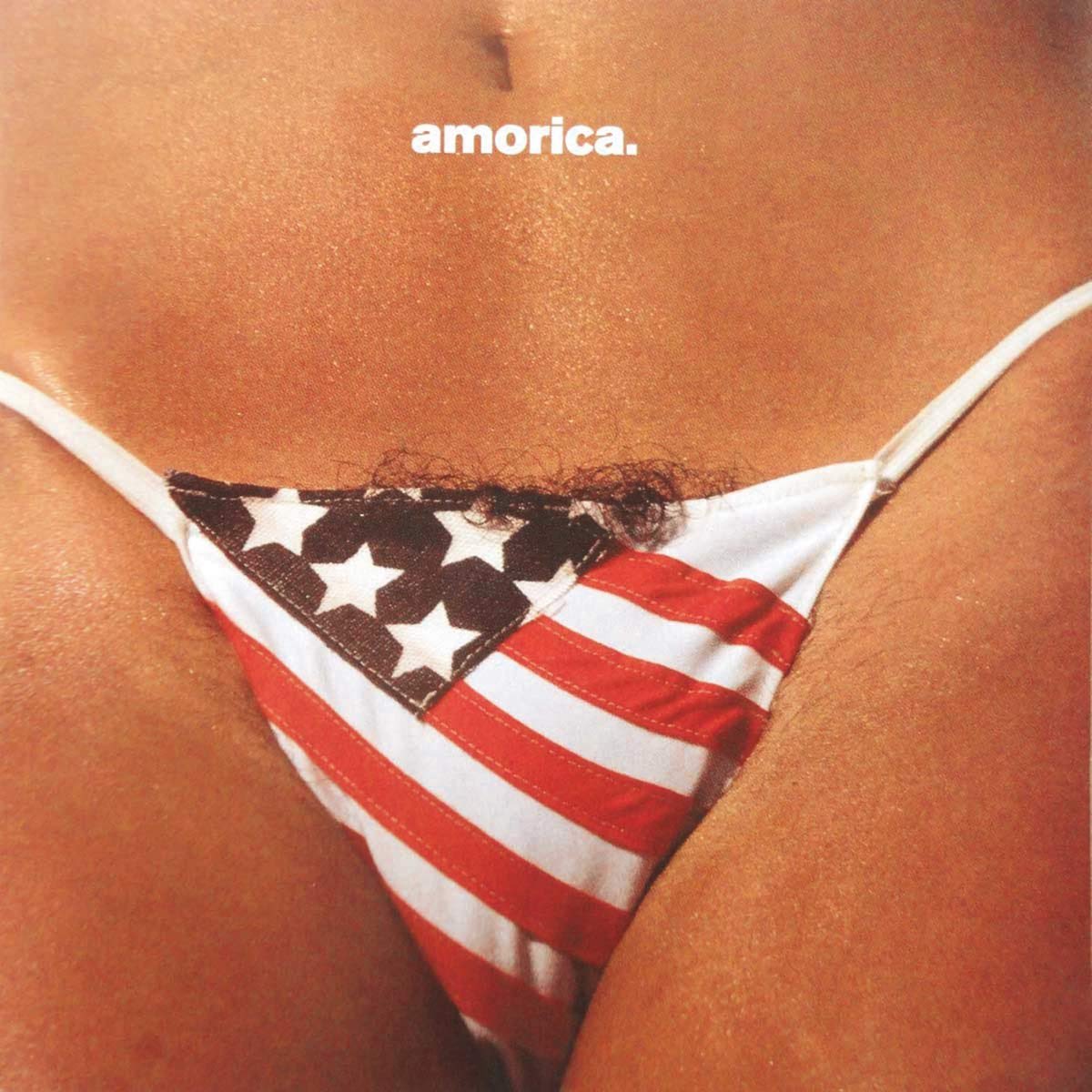 theblackcrowes's tweet photo. God bless Amorica https://t.co/hoAt1emomf