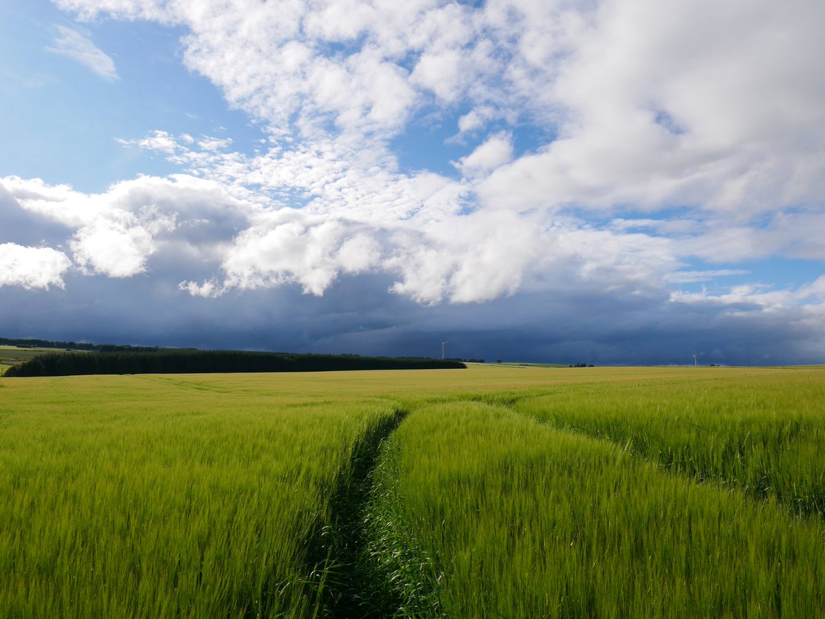 Storm brewing, forecast for tomorrow looks awful!

#weather #Aberdeenshire #scotland #loveukweather #farming  #ballsphotos #ThePhotoHour #StormHour