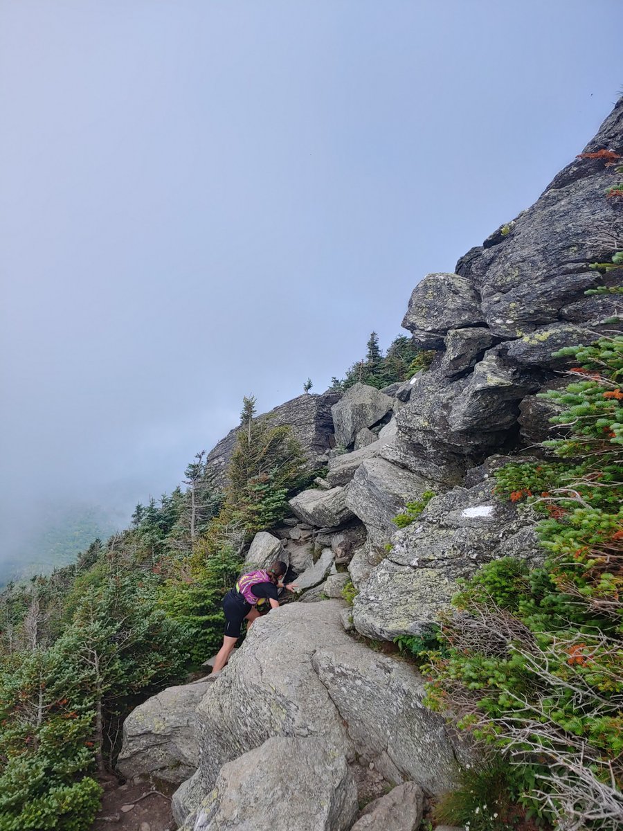 elevatingEBP's tweet photo. Another fun long trail run-16.5 miles. This one started at my house. #backyard #LoveVT https://t.co/059tfFHQVR