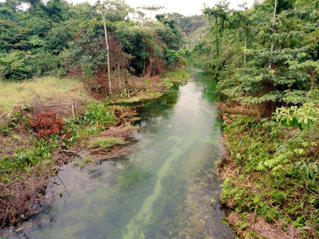Maxewell's tweet photo. Eau claire de #Leconi
#DestinationGabon #Tourisme https://t.co/3AZ3J93teM