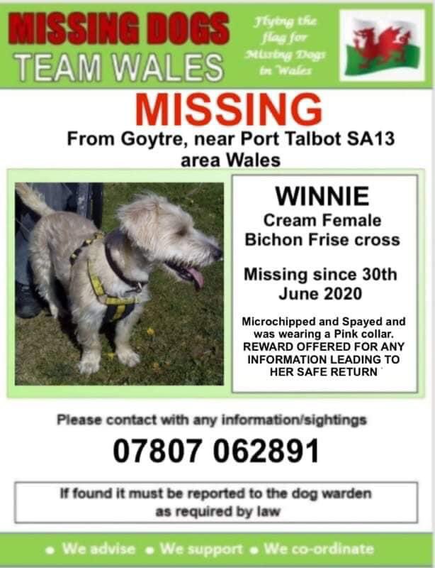 veryluckypugs's tweet image. 🆘💕🆘 STILL MISSING !! 😞😞😞
Have you seen Winnie please? 🙏