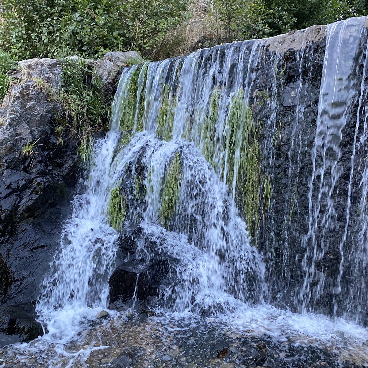 CayetanoPolo_'s tweet image. #ValledelÁrrago #SierradeGata 
#RobledillodeGata #Descargamaría #Cadalso
Paraíso sin compuertas.
Yo, los cuartos, me los dejo aquí.