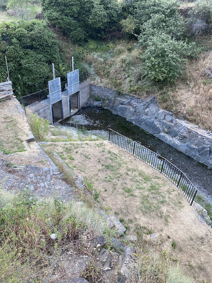 CayetanoPolo_'s tweet image. #ValledelÁrrago #SierradeGata 
#RobledillodeGata #Descargamaría #Cadalso
Paraíso sin compuertas.
Yo, los cuartos, me los dejo aquí.