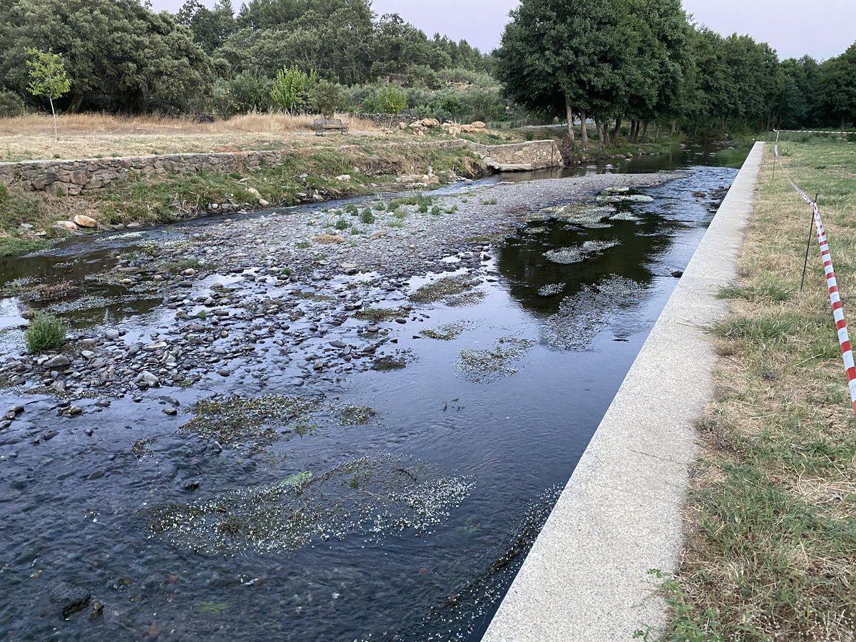 CayetanoPolo_'s tweet image. #ValledelÁrrago #SierradeGata 
#RobledillodeGata #Descargamaría #Cadalso
Paraíso sin compuertas.
Yo, los cuartos, me los dejo aquí.