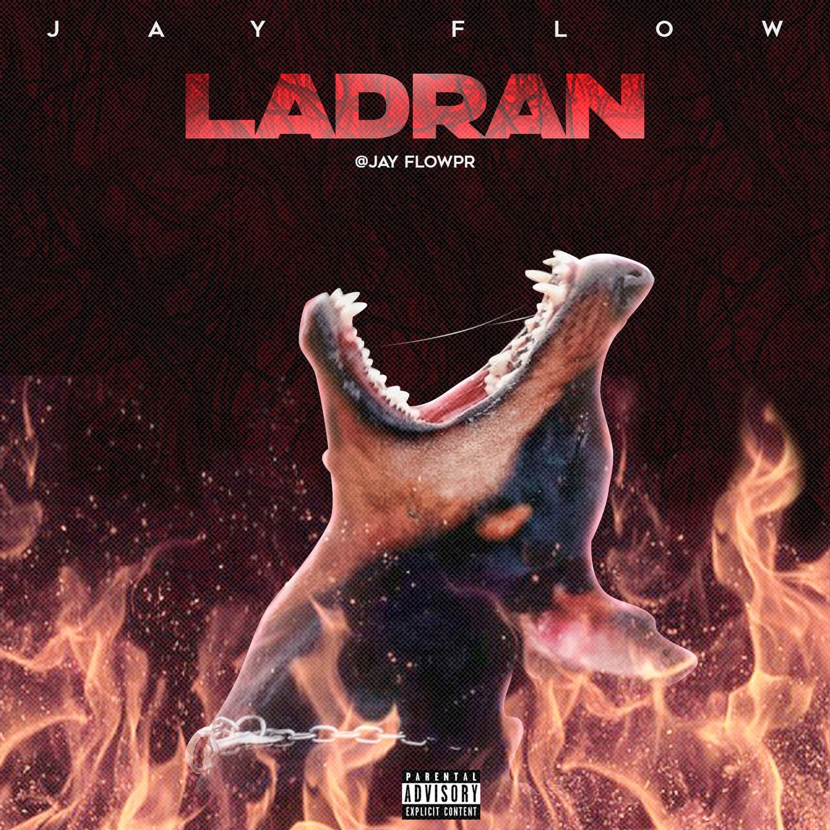 WWWELGENERO's tweet photo. Jay Flow - Ladran https://t.co/bJu0g7Lg3w #Musica #JayFlow https://t.co/q9P31G5WB4