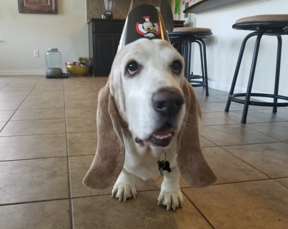 Butters Kennedy tweet media