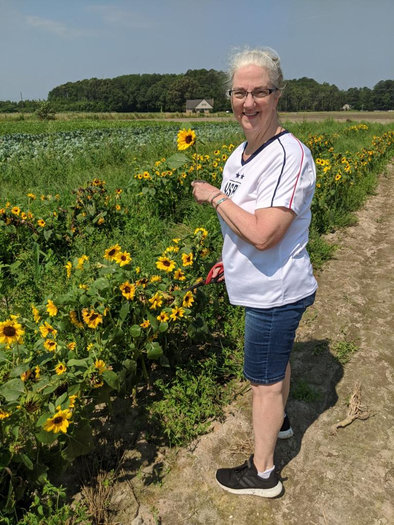 Spent the morning in Pungo, supporting small farms by picking blackberries and sunflowers. #TeamTurpinVBCC #4thOfJuly #Pungo #SupportLocalBusinesses