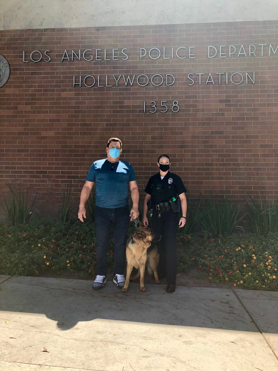 LAPDHollywood's tweet photo. Well itโs a good start to the 4th of July for this puppy! Ofc. Menke was leaving the station this morning and saw a dog walking alone outside. She checked the dogs chip and realized the dog had been missing for 2 weeks! A call was made to the owner and they were reunited!! ๐ถ https://t.co/Anz2m1rb9j