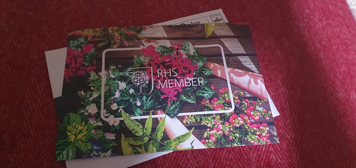 Karen Johnson tweet media