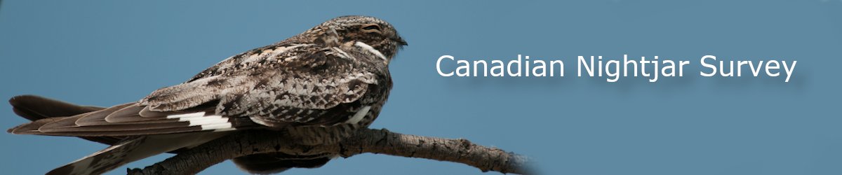 The 2020 Canadian Nightjar Survey is on now thorugh July 15. Learn more &amp; find out how to get involved: birdscanada.org/birdmon/nightj…