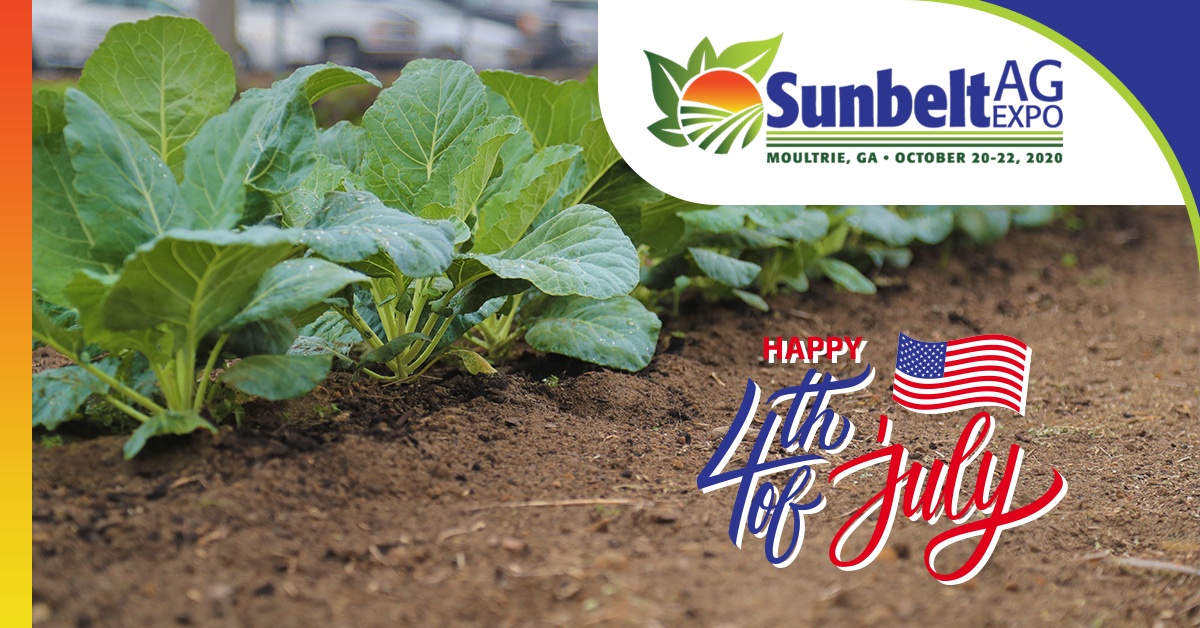 Happy Fourth of July from the Sunbelt Ag Expo team! Fun fact regarding some of the dishes on your plate while you celebrate our independence today: if barbecued chicken, corn on the cob or watermelon makes its way to your dish, the odds are pretty good that it's Georgia-grown.