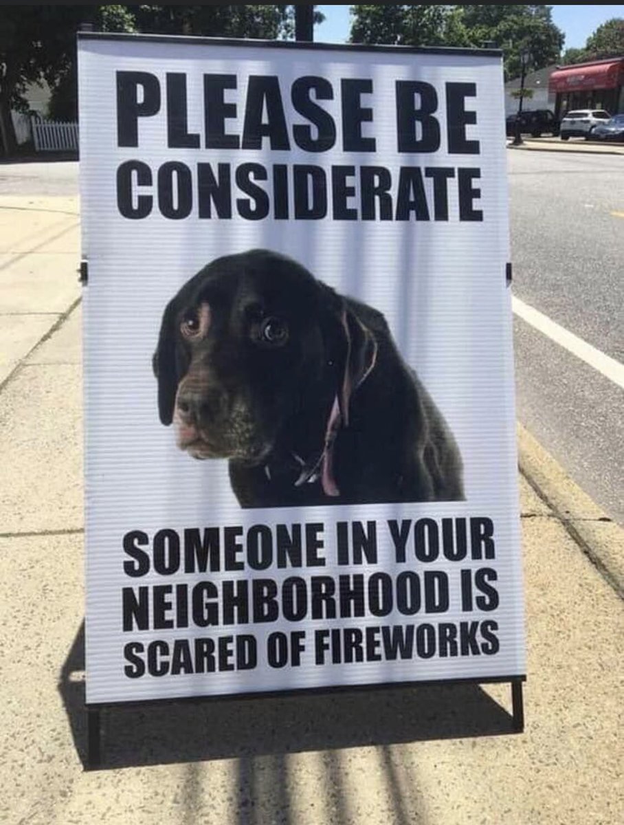EarnhardtCollec's tweet photo. While we celebrate Independence Day, please remember the furry friends at #home aren’t as excited  with the fireworks! #keeppetssafe #happy4thofjuly #earnhardtcollection https://t.co/0pP3nljuvX