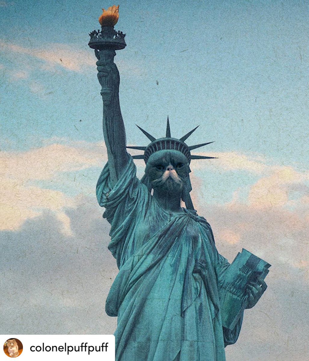 AmyDresner's tweet photo. Hard to celebrate when the country is so fucked. Thatโs why Colonel Puff Puff is stepping in for Lady Liberty this year. Remember #BlackLivesMatter ๐๐ฟ & #WearADamnMask
Graphic courtesy of @bkyoungus #colonelpuffpuff #FourthofJuly2020 https://t.co/BUMWltJHsa