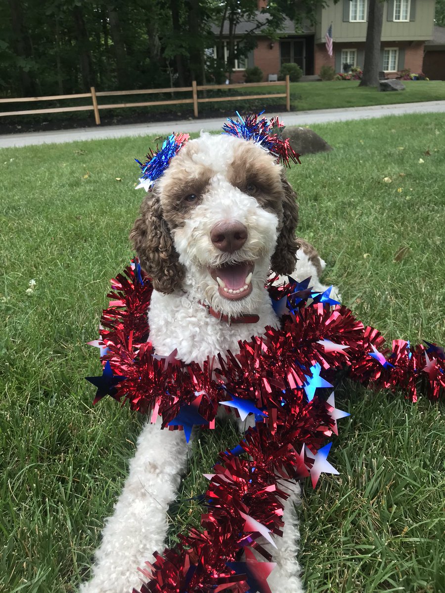 Wishing everyone a happy and safe 4th of July! 🇱🇷💥 <a href="/ClayTrojans/">Clay Middle School</a> #carmelcares