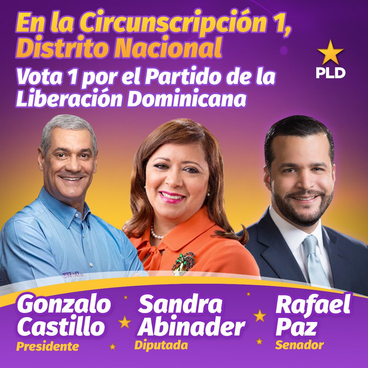 Vota PLD, por los candidatos del Partido de la Liberación Dominicana 💜 #SandraAbinader