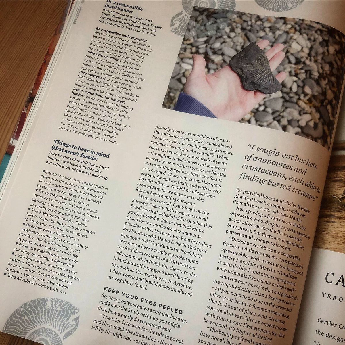 PhoebeRSmith's tweet photo. Super happy to see my latest article for @simplethingsmag on the joys of fossil hunting out now... thanks to @IOWFossils #fossilman Martin Simpson, Island Gems @VisitIOW with further shoutouts to @VisitDorset @VisitPembs @visitkent @Welcome2Yorks @visitayrshire and @visitnorfolk https://t.co/tTrlSrSWq2