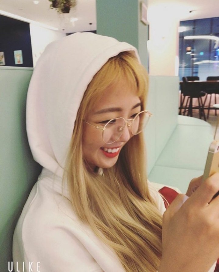 funfackt's tweet image. Coco's Favorite food: Tteokbokki, sushi, fried chicken, chocolate, organic food, coconut flavoured things, macaroons.